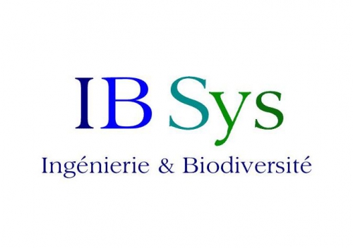 IB Sys : Outil technologique pour éliminer les frelons devant une ruche